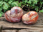 Polished Red Podocarpus Petrified Wood Hearts x 2 From Mahajanga, Madagascar - Toprock Gemstones and Minerals 