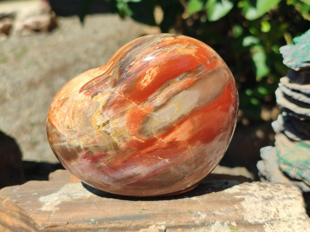 Polished Red Podocarpus Petrified Wood Hearts x 2 From Mahajanga, Madagascar - Toprock Gemstones and Minerals 