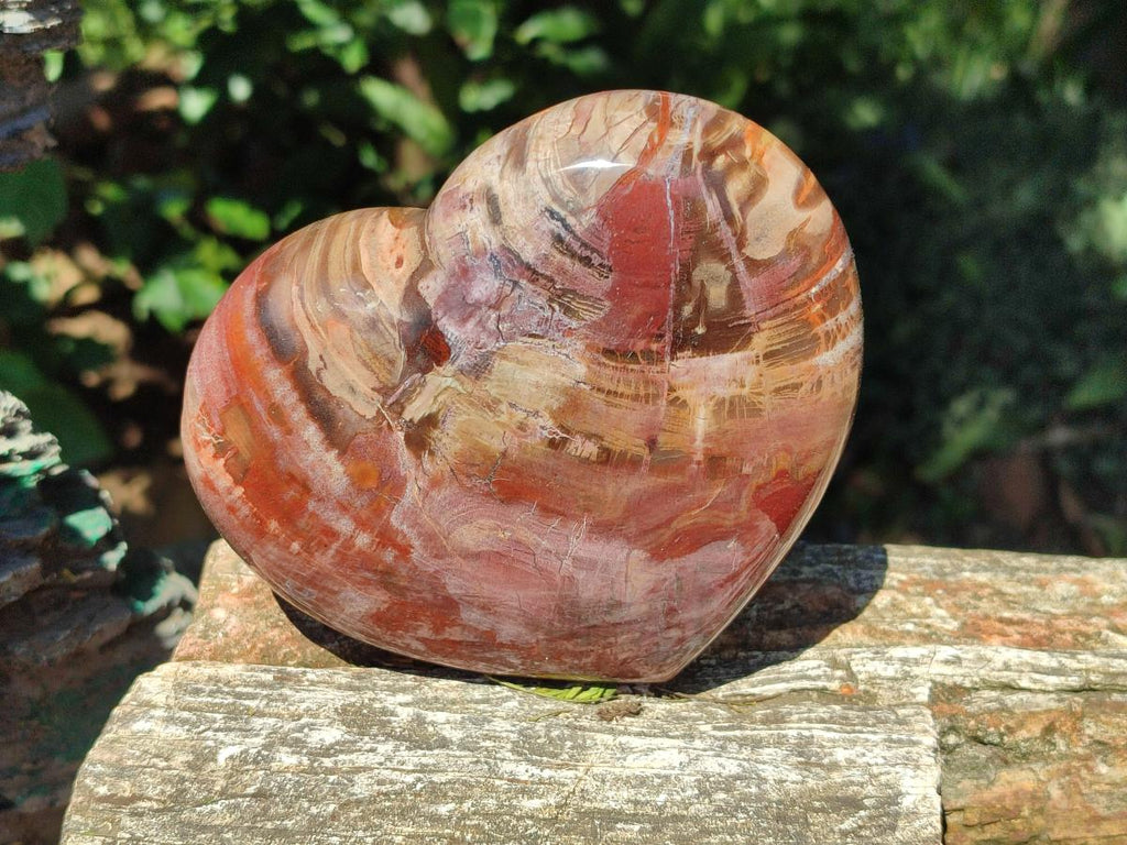 Polished Red Podocarpus Petrified Wood Hearts x 2 From Mahajanga, Madagascar - Toprock Gemstones and Minerals 