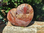 Polished Red Podocarpus Petrified Wood Hearts x 2 From Mahajanga, Madagascar - Toprock Gemstones and Minerals 