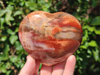 Polished Red Podocarpus Petrified Wood Hearts x 2 From Mahajanga, Madagascar - Toprock Gemstones and Minerals 