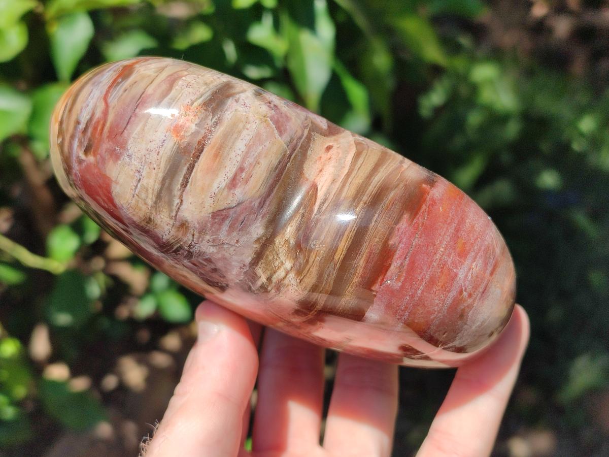 Polished Red Podocarpus Petrified Wood Hearts x 2 From Mahajanga, Madagascar - Toprock Gemstones and Minerals 
