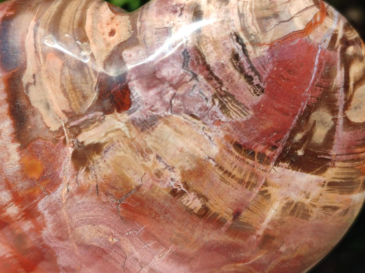 Polished Red Podocarpus Petrified Wood Hearts x 2 From Mahajanga, Madagascar - Toprock Gemstones and Minerals 
