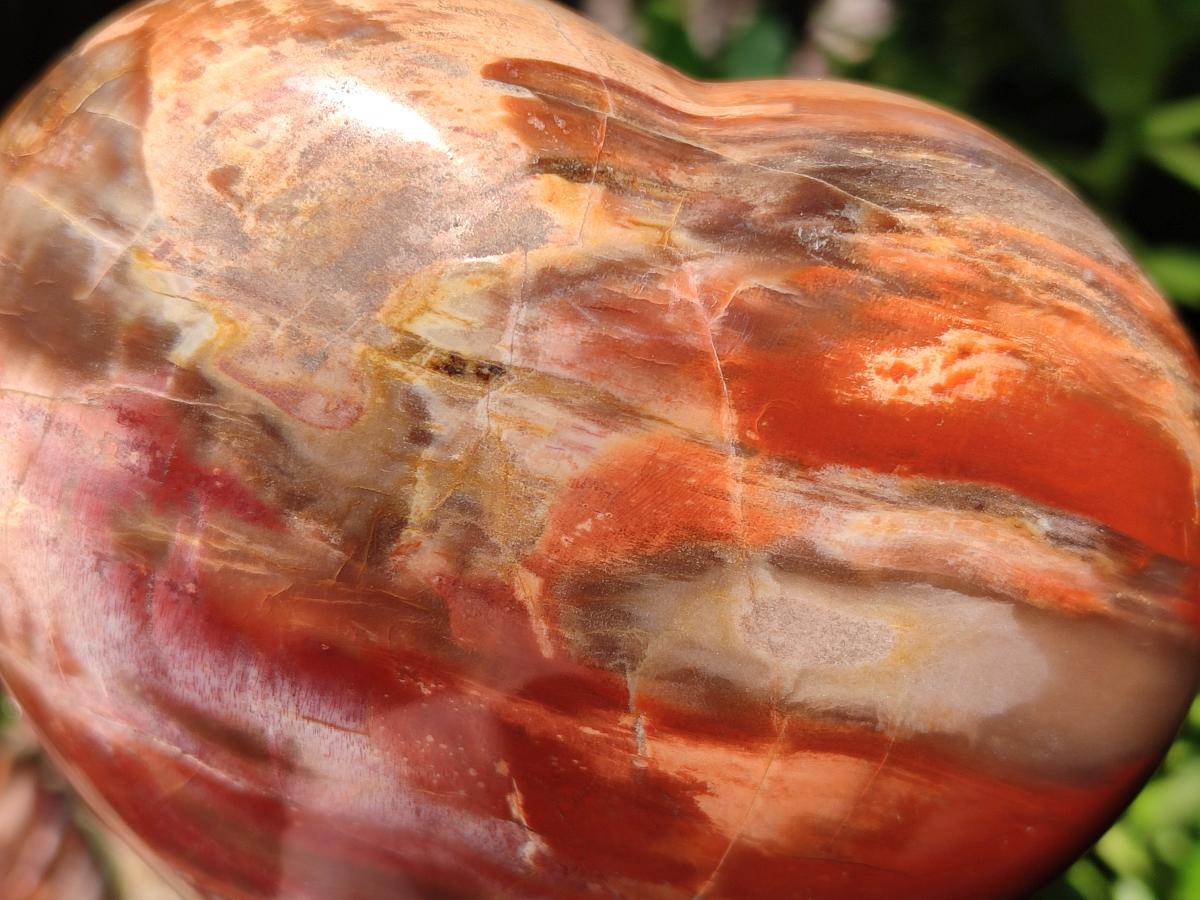 Polished Red Podocarpus Petrified Wood Hearts x 2 From Mahajanga, Madagascar - Toprock Gemstones and Minerals 