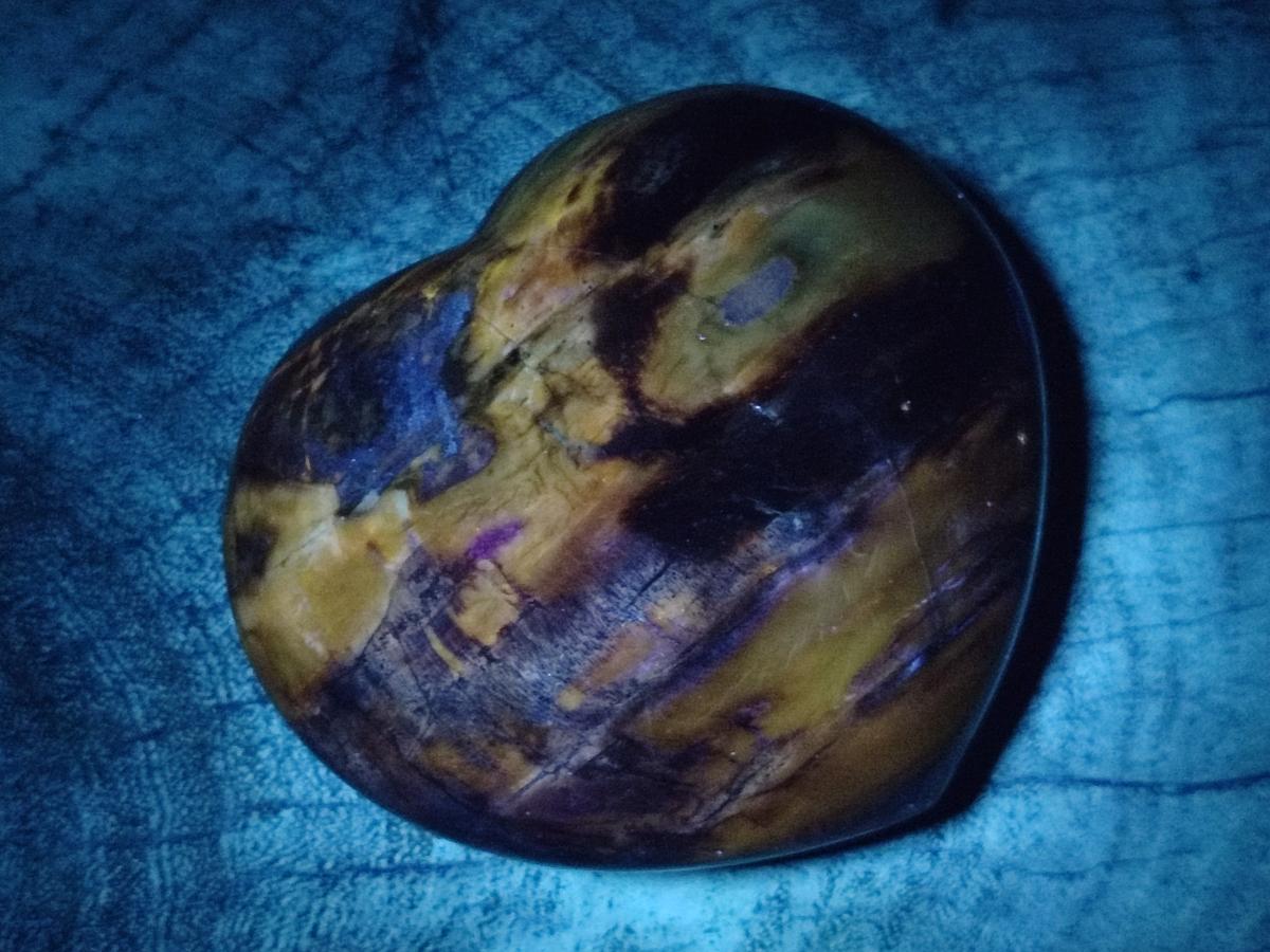 Polished Red Podocarpus Petrified Wood Hearts x 2 From Mahajanga, Madagascar - Toprock Gemstones and Minerals 