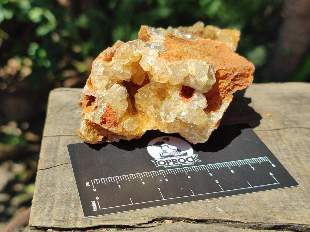 Natural Limonite Quartz Clusters x 12 From Solwezi, Zambia - Toprock Gemstones and Minerals 