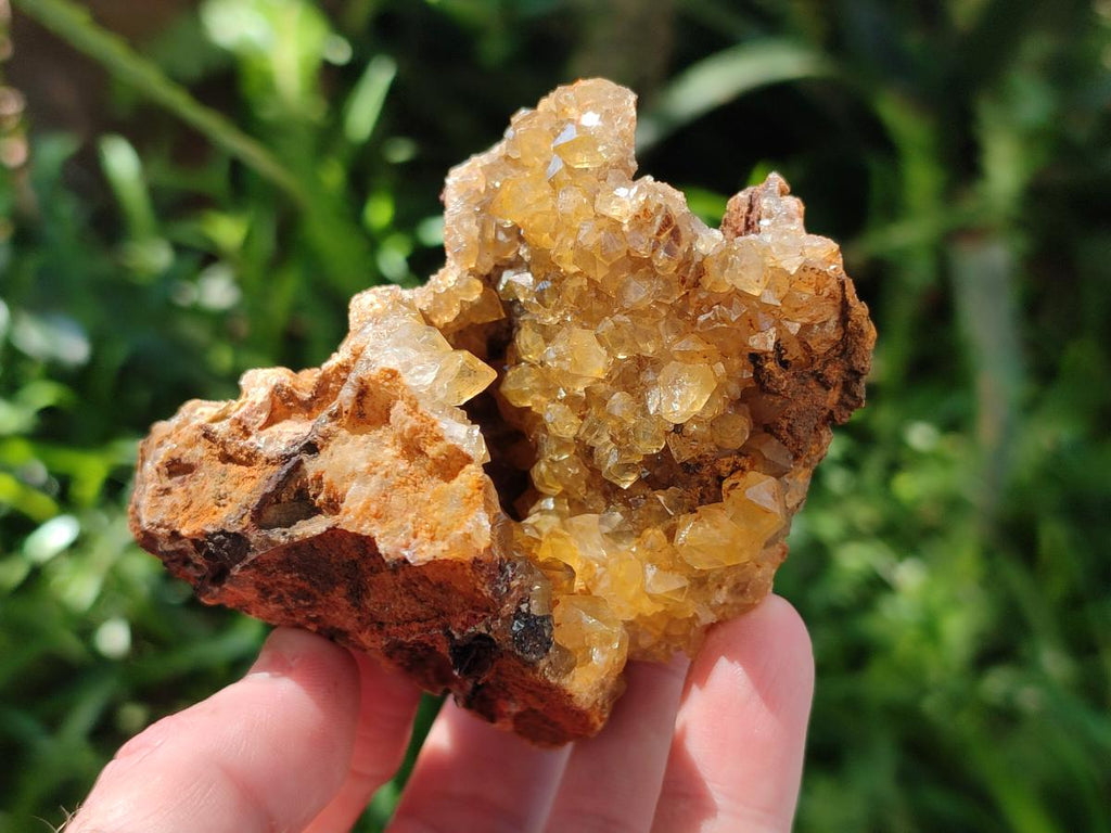 Natural Limonite Quartz Clusters x 12 From Solwezi, Zambia - Toprock Gemstones and Minerals 