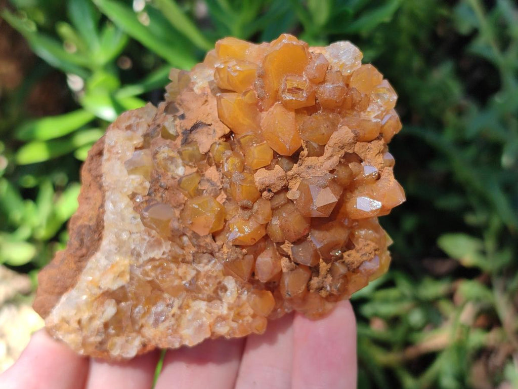 Natural Limonite Quartz Clusters x 12 From Solwezi, Zambia - Toprock Gemstones and Minerals 