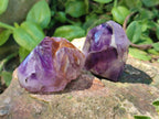 Polished Smokey Amethyst Window Crystals x 24 From Akansobe, Madagascar - Toprock Gemstones and Minerals 