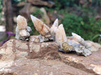 Natural Drusy Quartz Coated Spearhead Calcite Crystals x 70 From Albert's Mountain, Lesotho - Toprock Gemstones and Minerals 