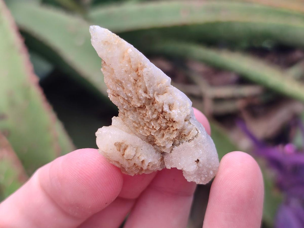 Natural Drusy Quartz Coated Spearhead Calcite Crystals x 70 From Albert's Mountain, Lesotho - Toprock Gemstones and Minerals 