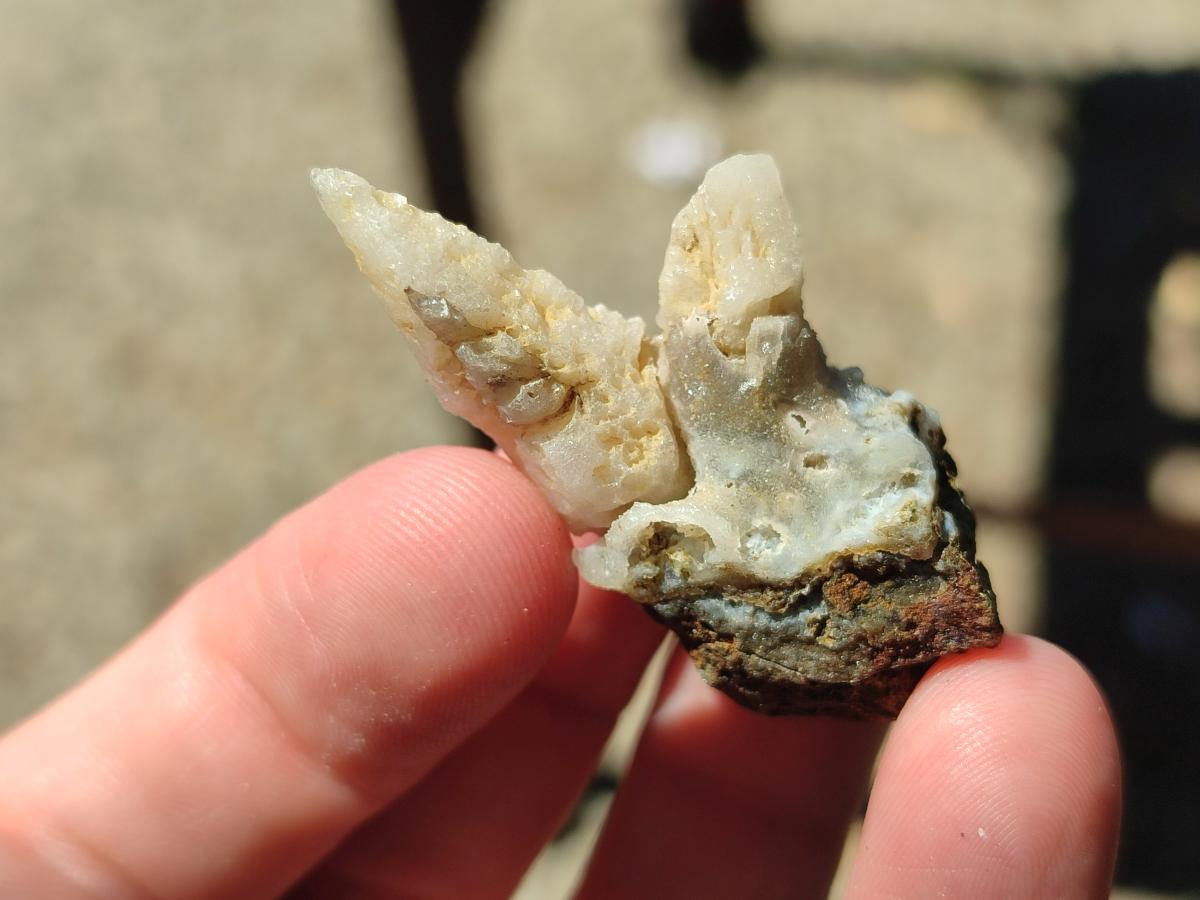 Natural Drusy Quartz Coated Spearhead Calcite Crystals x 70 From Albert's Mountain, Lesotho - Toprock Gemstones and Minerals 
