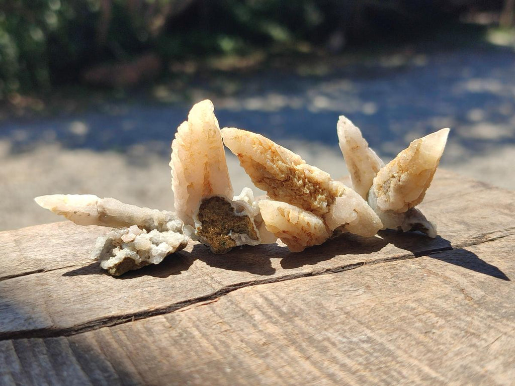 Natural Drusy Quartz Coated Spearhead Calcite Crystals x 70 From Albert's Mountain, Lesotho - Toprock Gemstones and Minerals 