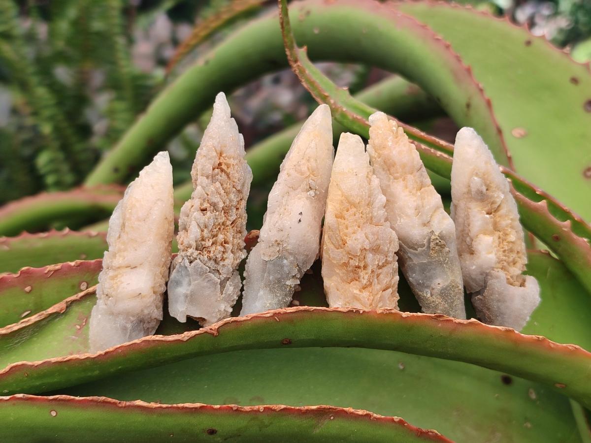 Natural Drusy Quartz Coated Spearhead Calcite Crystals x 70 From Albert's Mountain, Lesotho - Toprock Gemstones and Minerals 