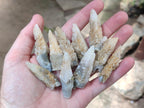 Natural Drusy Quartz Coated Spearhead Calcite Crystals x 70 From Albert's Mountain, Lesotho - Toprock Gemstones and Minerals 