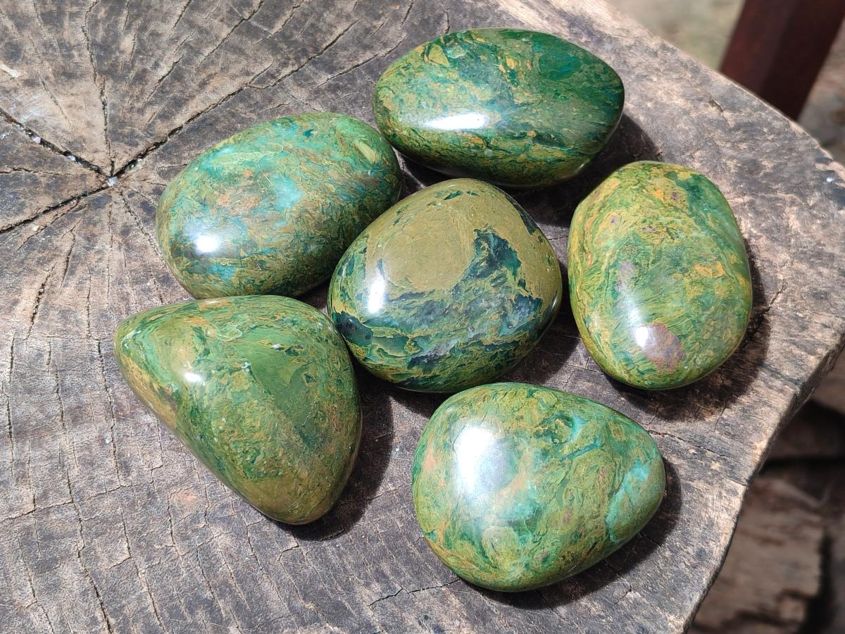 Polished Chrome Verdite Gemstone Free Forms x 12 From Zimbabwe - Toprock Gemstones and Minerals 