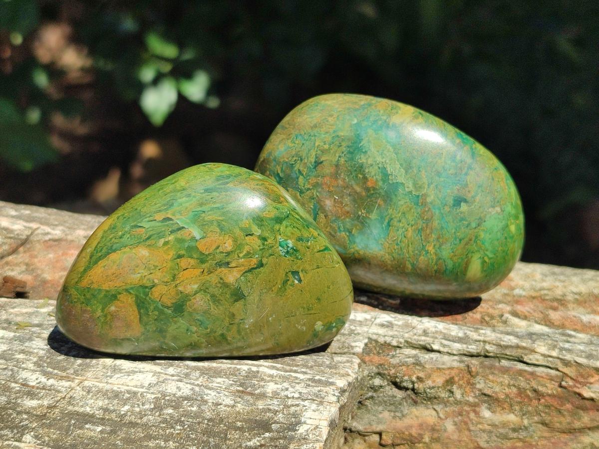 Polished Chrome Verdite Gemstone Free Forms x 12 From Zimbabwe - Toprock Gemstones and Minerals 