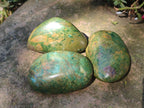 Polished Chrome Verdite Gemstone Free Forms x 12 From Zimbabwe - Toprock Gemstones and Minerals 