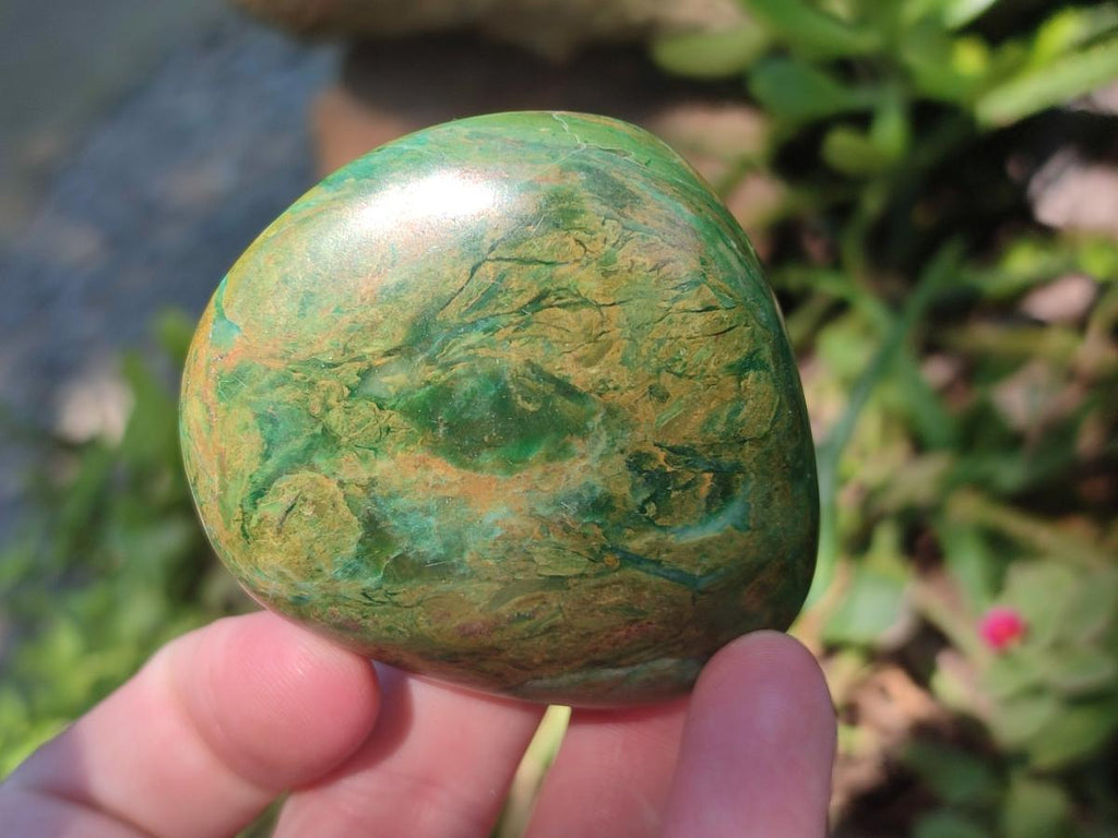 Polished Chrome Verdite Gemstone Free Forms x 12 From Zimbabwe - Toprock Gemstones and Minerals 