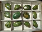 Polished Chrome Verdite Gemstone Free Forms x 12 From Zimbabwe - Toprock Gemstones and Minerals 