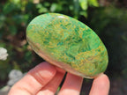 Polished Chrome Verdite Gemstone Free Forms x 12 From Zimbabwe - Toprock Gemstones and Minerals 