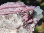 Natural Pink Rubellite Tourmaline Specimens x 4 From Karibib, Namibia - Toprock Gemstones and Minerals 