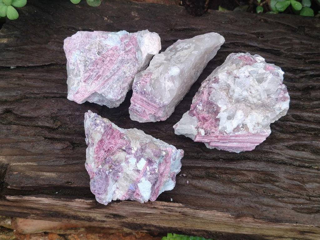 Natural Pink Rubellite Tourmaline Specimens x 4 From Karibib, Namibia - Toprock Gemstones and Minerals 