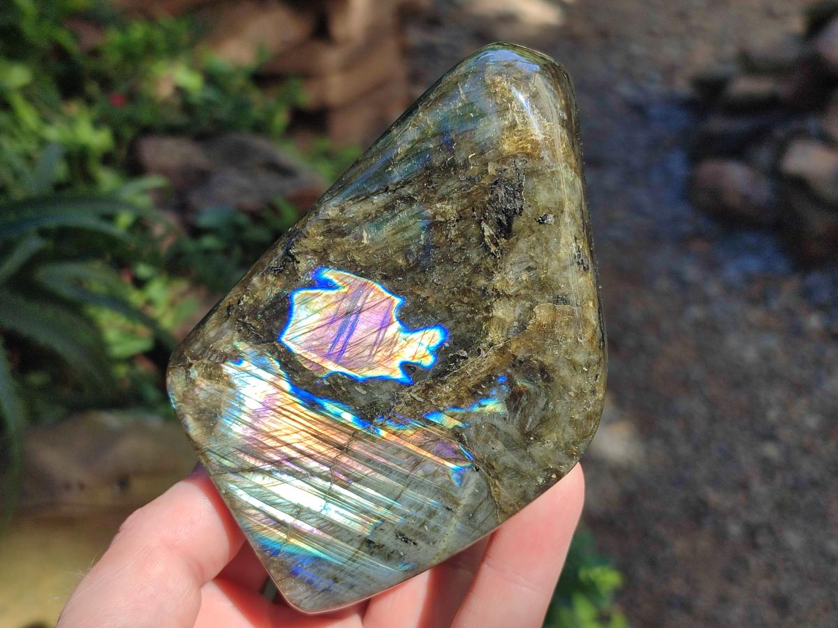 Polished Labradorite Standing Free Form x 3 From Madagascar - Toprock Gemstones and Minerals 