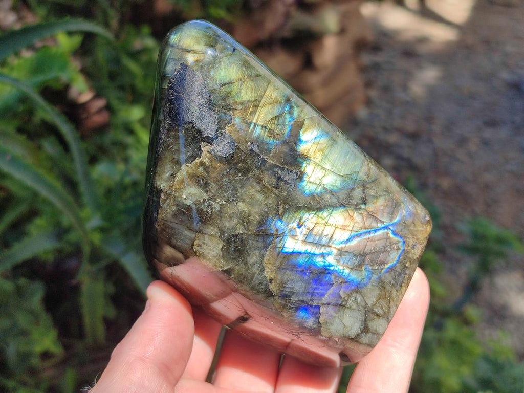 Polished Labradorite Standing Free Form x 3 From Madagascar - Toprock Gemstones and Minerals 