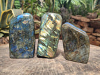 Polished Labradorite Standing Free Form x 3 From Madagascar - Toprock Gemstones and Minerals 