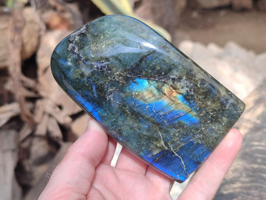 Polished Labradorite Standing Free Form x 3 From Madagascar - Toprock Gemstones and Minerals 