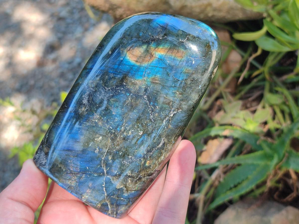 Polished Labradorite Standing Free Form x 3 From Madagascar - Toprock Gemstones and Minerals 