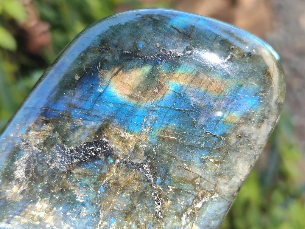 Polished Labradorite Standing Free Form x 3 From Madagascar - Toprock Gemstones and Minerals 
