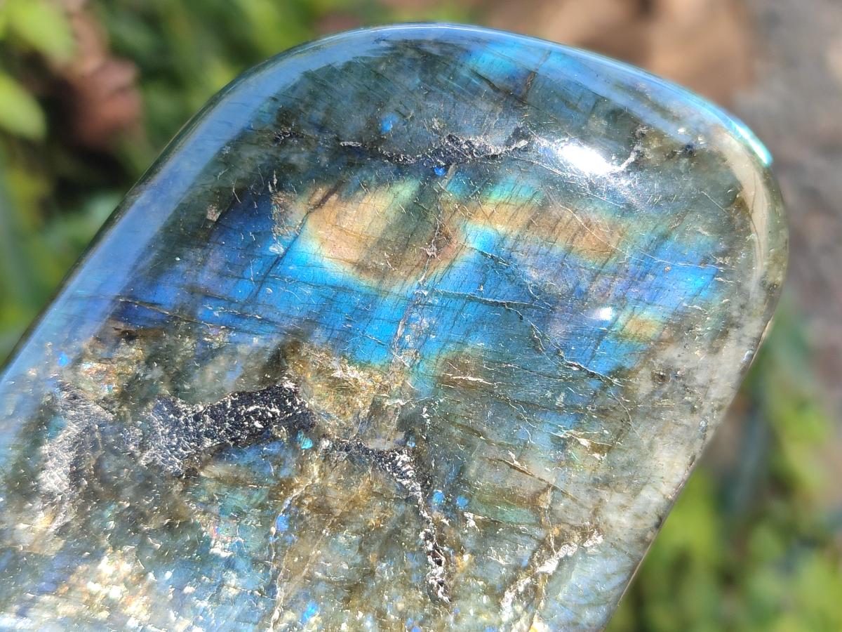 Polished Labradorite Standing Free Form x 3 From Madagascar - Toprock Gemstones and Minerals 