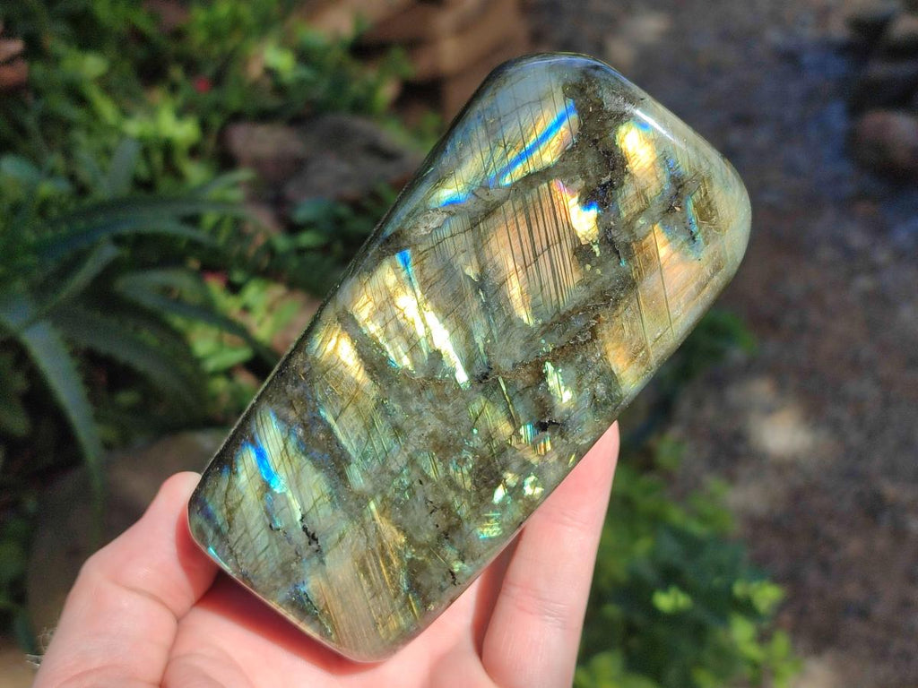 Polished Labradorite Standing Free Form x 3 From Madagascar - Toprock Gemstones and Minerals 