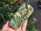 Polished Labradorite Standing Free Form x 3 From Madagascar - Toprock Gemstones and Minerals 