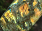 Polished Labradorite Standing Free Form x 3 From Madagascar - Toprock Gemstones and Minerals 