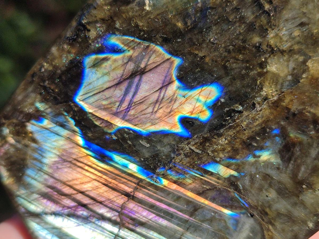 Polished Labradorite Standing Free Form x 3 From Madagascar - Toprock Gemstones and Minerals 
