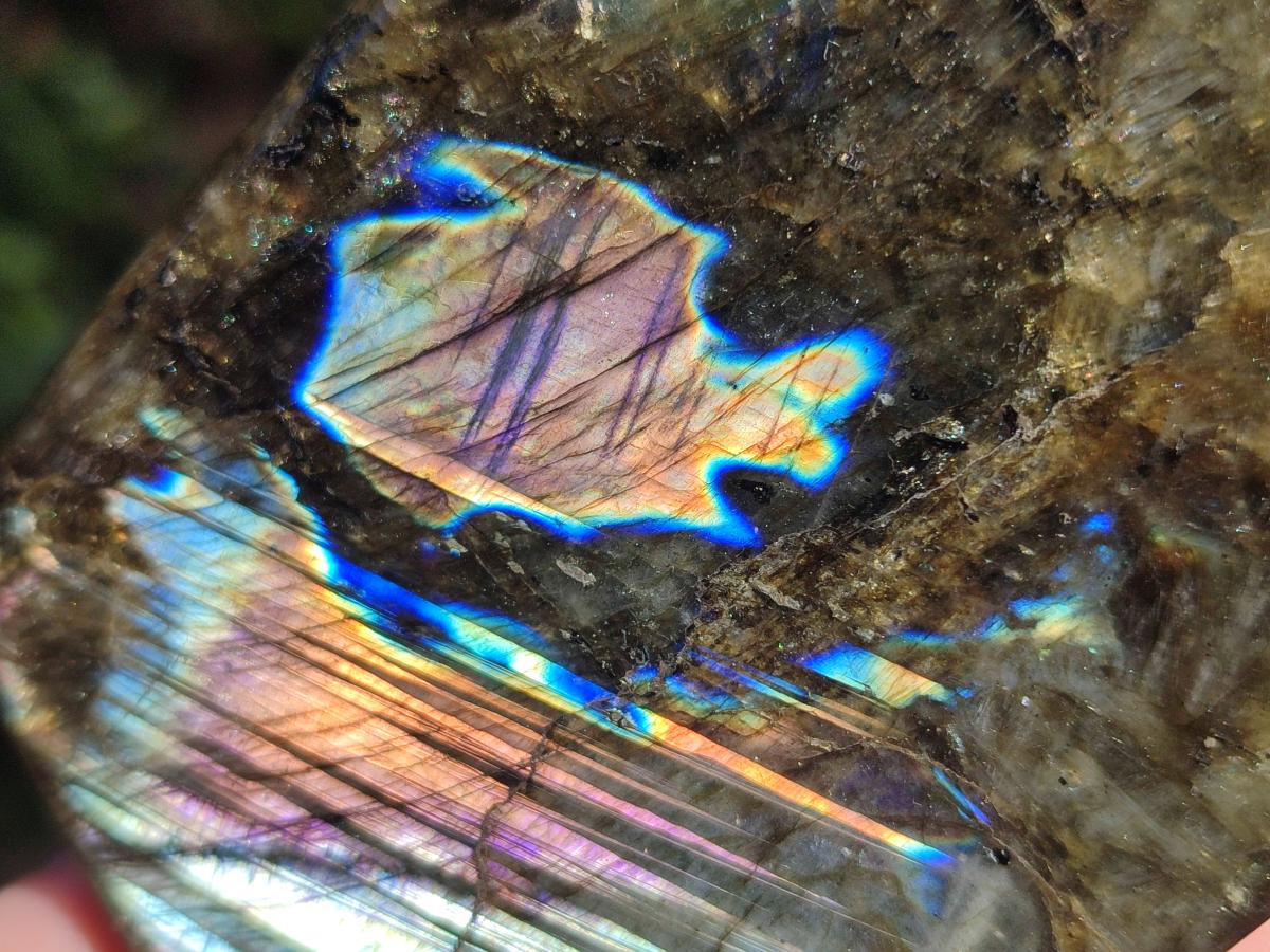 Polished Labradorite Standing Free Form x 3 From Madagascar - Toprock Gemstones and Minerals 