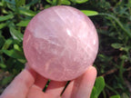 Polished Gemmy Star Rose Quartz Spheres x 2 From Madagascar - Toprock Gemstones and Minerals 