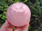 Polished Gemmy Star Rose Quartz Spheres x 2 From Madagascar - Toprock Gemstones and Minerals 
