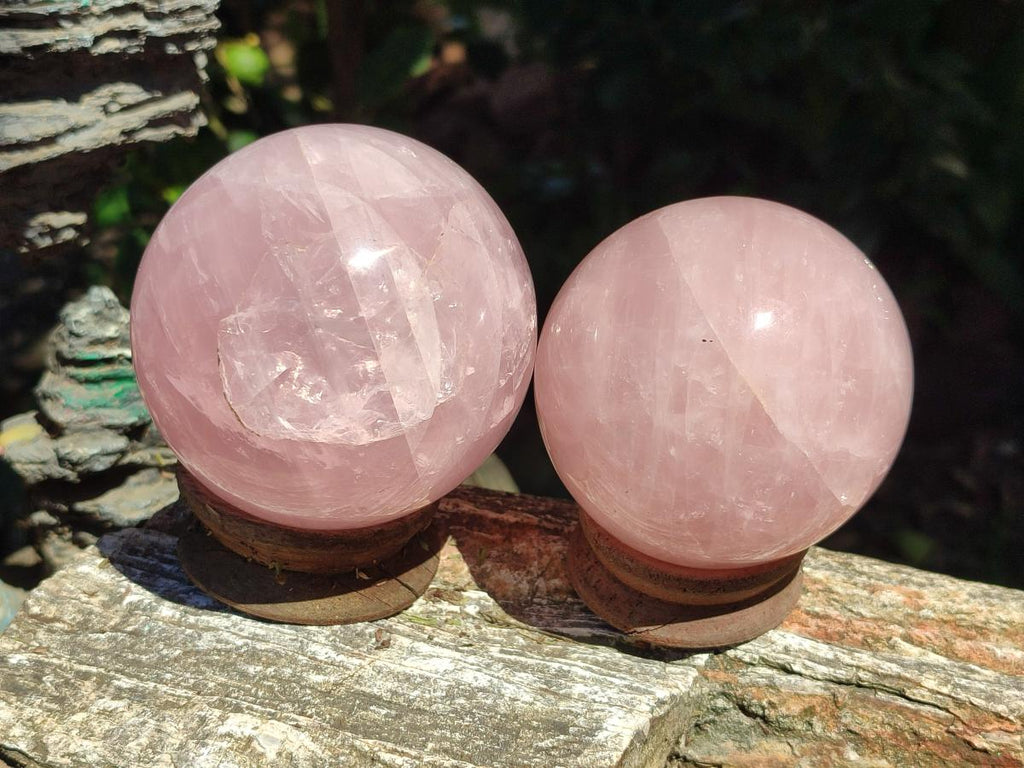 Polished Gemmy Star Rose Quartz Spheres x 2 From Madagascar - Toprock Gemstones and Minerals 