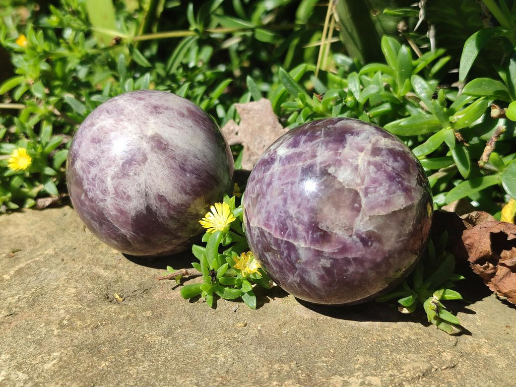 Polished Lepidolite Spheres x 6 From Ambatondrazaka, Madagascar - Toprock Gemstones and Minerals 