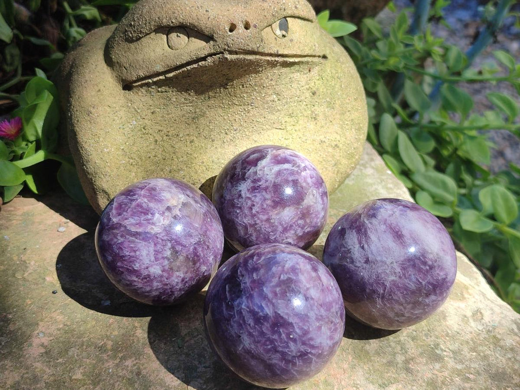 Polished Lepidolite Spheres x 6 From Ambatondrazaka, Madagascar - Toprock Gemstones and Minerals 