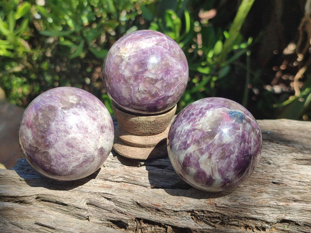 Polished Lepidolite Spheres x 6 From Ambatondrazaka, Madagascar - Toprock Gemstones and Minerals 