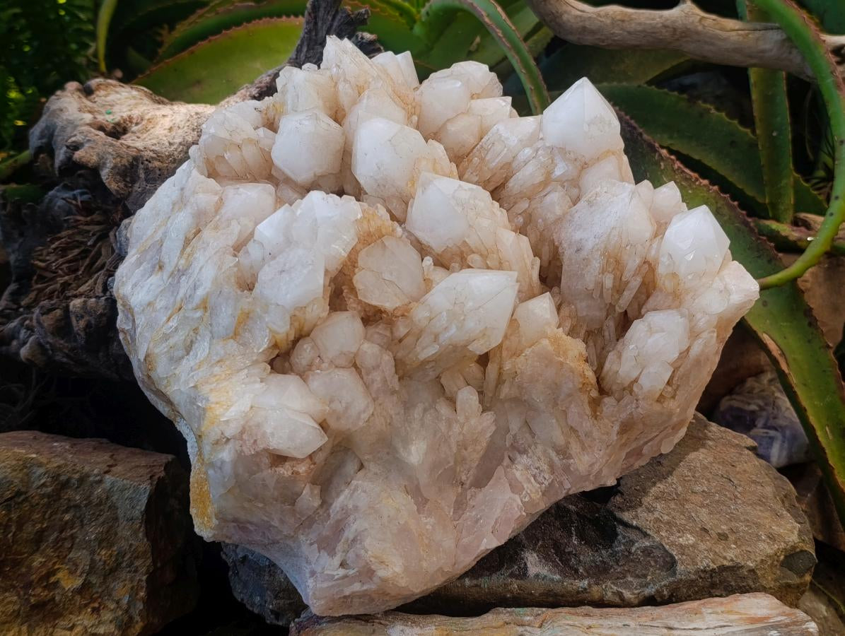 Natural XL Cascading Candle Quartz Cluster x 1 From Antsirabe, Madagascar - Toprock Gemstones and Minerals 