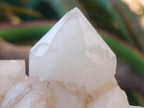 Natural XL Cascading Candle Quartz Cluster x 1 From Antsirabe, Madagascar - Toprock Gemstones and Minerals 