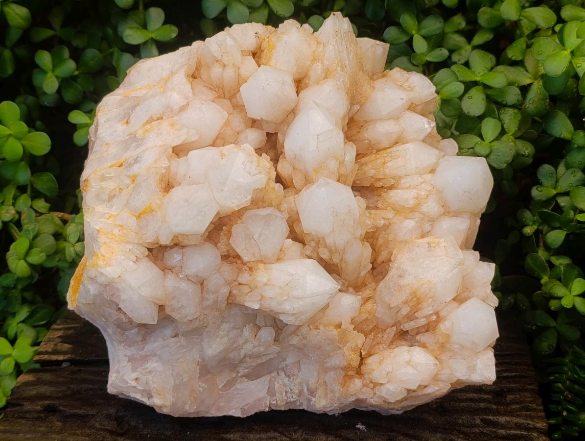 Natural XL Cascading Candle Quartz Cluster x 1 From Antsirabe, Madagascar - Toprock Gemstones and Minerals 