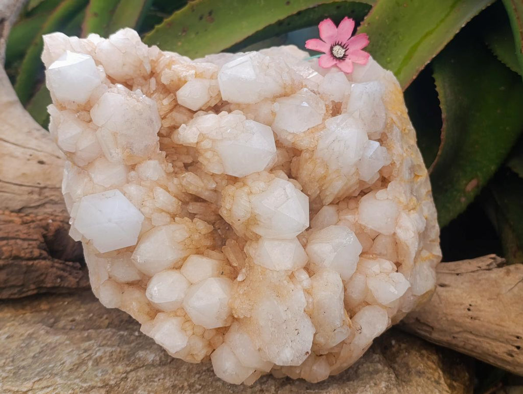 Natural XL Cascading Candle Quartz Cluster x 1 From Antsirabe, Madagascar - Toprock Gemstones and Minerals 