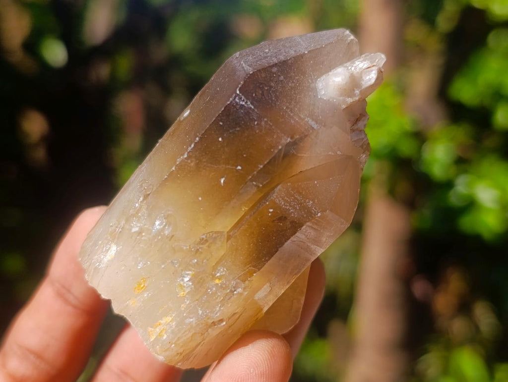 Natural Smokey Candle Quartz Crystals x 35 From Zimbabwe - Toprock Gemstones and Minerals 